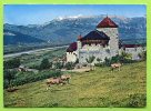 Liechtenstein Schloss Castle Château Vaduz Rheintal Rhine Valley . Vaches , Cows - Liechtenstein