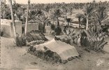 CPA-1950--ALGERIE-COLOMB-     BECHAR-DANS L OASIS-TBE - Bechar (Colomb Béchar)