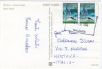 MALDIVES - VIEWS (PHOTO ISMAIL F 401-93) / THEMATIC STAMP-BIRD - Maldivas