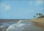 GUYANE FRANCAISE - Plage Des Hattes - Other & Unclassified