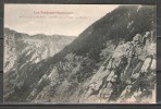 Le Canigou - Entrée De La Forêt De Balatg - Prades