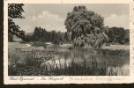 Germany, Bad Pyrmont - Im Kurpark - Passed Bad Pyrmont Post In 1940 - Bad Pyrmont