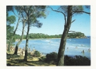 Cp, 83, La Londe Les Maures, La Plage De L'Estagnol, Voyagée 1993 - La Londe Les Maures