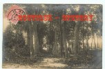 49 ANGERS - BOULEVARD DAVIERS < CYCLONE Du 4 Juillet 1905 - Carte Photo Rare à Ce Prix - Real Photograph Postcard - Rampen