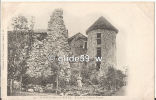 PONTCHARA-SUR-BREDA - Ruines Du Château Bayard (animée) - N° 190 - Pontcharra