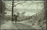 "Gainsboro' Lane (Ipswich)".   C1910.   (Postman On Horseback?) - Ipswich