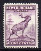 NEWFOUNDLAND – TERRANOVA – 1932 YT 175B * (dent.12,5) - 1908-1947