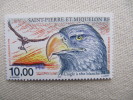 6-729 Aigle Pygargue Rapace Eagle Rovgriske Adler Räuberisch Rapacious águila Rapaz Aquila Adelaar Roofzuchtig - Aigles & Rapaces Diurnes