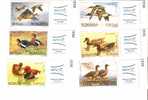 WILD DUCKS AND GEESE - ROMANIA - 2007 -   6 VAL - WITH LABEL EFIRO 2008 - Patos