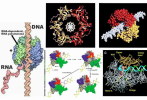 ( AN03-048  ) @      DNA Chemistry Biochemistry Gene  .   Pre-stamped Card  Postal Stationery- Articles Postaux - Chimie
