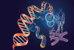 ( AN03-044  ) @      DNA Chemistry Biochemistry Gene  .   Pre-stamped Card  Postal Stationery- Articles Postaux - Química