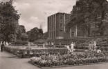 Carte Photo Real - Oberhausen Grillo Park - Allemagne - Circulée 1958 - 2 Scans - État Beau - Oberhausen