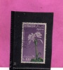 SOMALIA AFIS 1955 FIORI FLOWERS FLEURS FLORA GRINUM SCABRUM CENT. 10c 0,10S USATO USED OBLITERE' - Somalie (AFIS)