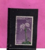 SOMALIA AFIS 1955 FIORI FLOWERS FLEURS FLORA GRINUM SCABRUM CENT. 10c 0,10S USATO USED OBLITERE' - Somalia (AFIS)