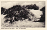 Deutschland,   Schleswig-Holstein,Nordsee-Heilbad St.Peter-Ording, Dünen Am Maaresstrand, .Kleinformat, Gelaufen Ja 1956 - St. Peter-Ording