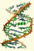 [NZ08-080  ]    Chemistry Gene DNA Biochemistry, Postal Stationery --Articles Postaux -- Postsache F - Chimie