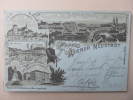 AK WIENER NEUSTADT Litho 1898 // J D*2946 - Wiener Neustadt
