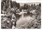 Deutschland - Goldbergsee Bei Marktschorgast - Fichtelgebirge - Bayreuth