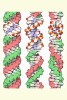 [NZ08-083  ]    Chemistry Gene DNA Biochemistry, Postal Stationery --Articles Postaux -- Postsache F - Chemistry