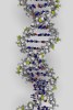 [NZ08-084  ]    Chemistry Gene DNA Biochemistry, Postal Stationery --Articles Postaux -- Postsache F - Chimie