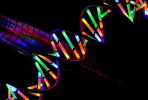 [NZ08-085  ]    Chemistry Gene DNA Biochemistry, Postal Stationery --Articles Postaux -- Postsache F - Chemistry