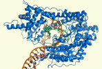 [NZ08-095  ]    Chemistry Gene DNA Biochemistry, Postal Stationery --Articles Postaux -- Postsache F - Chimie