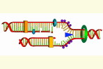 [NZ08-096  ]    Chemistry Gene DNA Biochemistry, Postal Stationery --Articles Postaux -- Postsache F - Chemistry