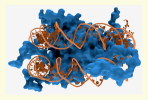 [NZ08-102  ]    Chemistry Gene DNA Biochemistry, Postal Stationery --Articles Postaux -- Postsache F - Química