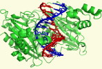 [NZ08-107  ]    Chemistry Gene DNA Biochemistry, Postal Stationery --Articles Postaux -- Postsache F - Chemistry