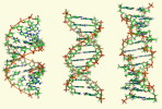 [NZ08-111  ]    Chemistry Gene DNA Biochemistry, Postal Stationery --Articles Postaux -- Postsache F - Chimie