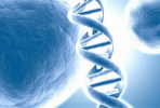 [NZ08-113  ]    Chemistry Gene DNA Biochemistry, Postal Stationery --Articles Postaux -- Postsache F - Chemistry