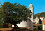 CORSE   CARGESE L'EGLISE LATINE ET LA GRECQUE  LA PLAGE DU PERO AU PIED DE LA CITE  BASTIA LA PLACE ST NICOLAS - Corse