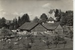 Schloss Sonnenberg Stettfurt - Stettfurt