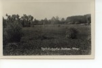 Vogelschutzgebiet Grüfried Wängi - Sonstige & Ohne Zuordnung