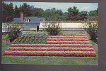American Flag At Elizabeth Park, Hartford, Connecticut - Hartford