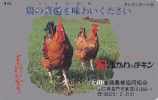 Télécarte Japon / 350-2560 - Oiseaux Oiseau - COQ & Poule - ROOSTER COCK Bird Japan Phonecard - HAHN - 180 - Hühnervögel & Fasanen