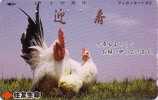 Télécarte Japon - Oiseau COQ - Japan Phonecard ROOSTER COCK Sumitomo Assu - 181 - Galline & Gallinaceo