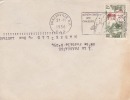 BRAZZAVILLE R.P - CONGO - 1956 - COLONIES FRANCAISES - Afrique - Avion - Lettre - Flamme - Marcophilie - Cartas & Documentos