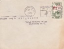 BRAZZAVILLE R.P - CONGO - 1956 - COLONIES FRANCAISES - Afrique - Avion - Lettre - Flamme - Marcophilie - Lettres & Documents