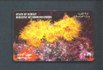 KUWAIT  -  Magnetic Phonecard As Scan - Koeweit