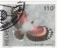 2007 Svizzera - Tichodroma Muraria - Owls