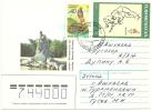 Cover Turkmenistan ( Atlanta 96 +Snake Stamps) - Turkmenistán