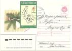 Cover Turkmenistan ( Atlanta 96  Stamp) - Turkménistan