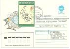 Cover Turkmenistan ( Atlanta 1996 Stamp) - Turkmenistán