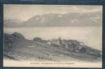 Lavaux, Grandvaux, Vue Générale, Lac Et Montagnes, Léman, Vignes, Vignoble, - Grandvaux