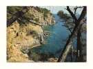 Cp, 83, Ile De Porquerolles, Calanque De L'Oustaou De Diou, Voyagée 1974 - Porquerolles