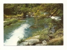 Cp, 84, Fontaine De Vaucluse, Fraicheur Et Charme Des Rives De La Sorgue - Sonstige & Ohne Zuordnung