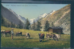 Anniviers, Paysage Près Zinal, Vaches, Animée, - Anniviers