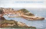 ILFRACOMBE - General View From Hillsborough - Ilfracombe