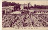 Gironde...33.......Le Pouyalet Près Pauillac....Chateau Lafite        ( Voir Scan Et/ou Annotation) - Sonstige & Ohne Zuordnung